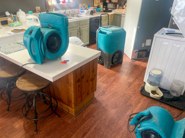 Best Water damage restoration near me  in Clarksville, IN