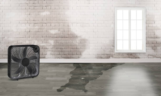 Best 24/7 water damage repair  in Clarksville, IN