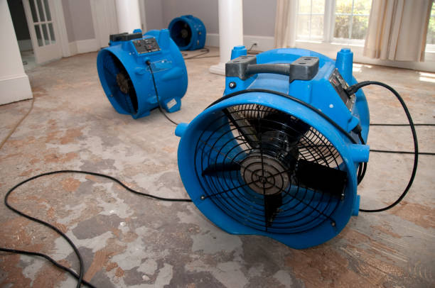 Best Emergency water damage restoration  in Clarksville, IN