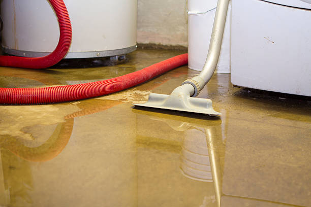 Best 24/7 water damage repair  in Clarksville, IN