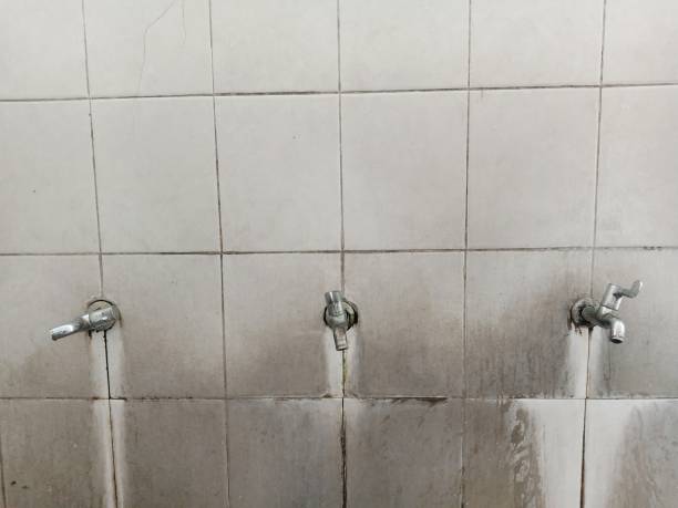  Clarksville, IN Water damage restoration Pros