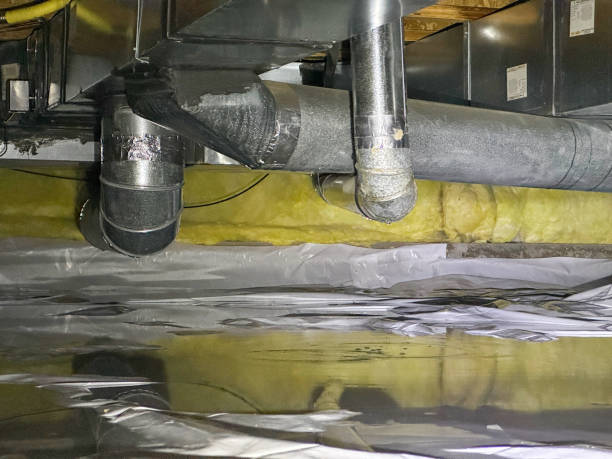 Best Water damage restoration process  in Clarksville, IN
